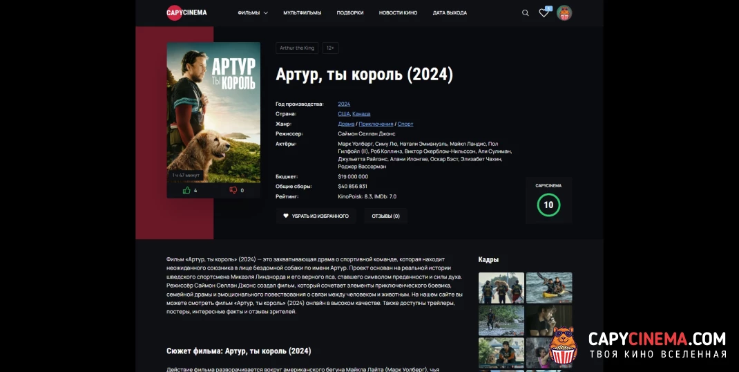 Скриншот раздела с информацией о кино/сериале